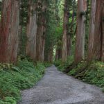 八百万　自然の中の神々からのメッセージ　天岩屋神話の主役たち　長野　戸隠神社