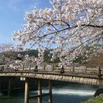 霊なる京都　現なる東京　それぞれの役割！