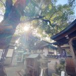 【祈り】アラハバキ神を求めて！　会いに行ったのは道ひらきの猿田彦大神！　猿田彦神社・京都