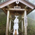 【祈り】そうだ！　地主神に愛に行こう！　足柄山で導く神霊は？　家系・代々脈々流れるエネルギーラインのシンクロニシティ　　　足柄明神跡・神奈川