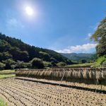 ライトワーク🌟　９月 てんびん座の新月に、新しい地球をむすぶ！　白髭明神は猿田彦大神で、高麗王若光！？　あなたは、どなた？　　　日向神社（白髭神社）・神奈川