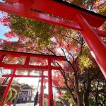 【祈り】女性に人気の縁結び神社！　織師と織女が織りなす経糸と緯糸　　足利織姫神社・栃木