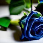 フォースとともにあれ！　Blue Rose　光の兄弟姉妹よりの祝福！　「あなたはひとりではない」