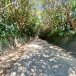 【祈り】アラハバキ神に会いにいく！　スクナヒコは薬師如来！？　はたまた・・・？　　　酒列磯前神社・茨城