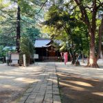 ライトワーク🌟　地球の声を聴く！ 祈りの道 氷川レイラインで天地の龍神エネルギーをつなぐ！