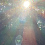 【祈り】うっかり神さん現れた！？　はたまた宇宙人！？　光の儀式 光の饗宴　地震を起こす大鯰の頭を押さえる要石に会いにいく！　茨城県・鹿島神宮
