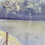 フォースとともにあれ！　パラレルワールド　あとから現れたRay　明治神宮・香取神宮の体験