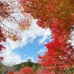 山は語る　山はみせる　荒ぶる神の顕現を　誰が解いた！？　封印された地にあるものたちを　