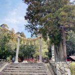 【祈り】フォースとともにあれ！　龍神に導かれ、日本最古の道　山の辺の道でライトワーク✨　　大神神社〜狭井神社〜貴船社〜八大龍王辨財天〜桧原神社・奈良県