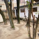 ライトワーク🌟　星を集めて宇宙を創る！　君の名は、アラハバキ神！？　　　坐摩神社 〜 サムハラ神社・大阪